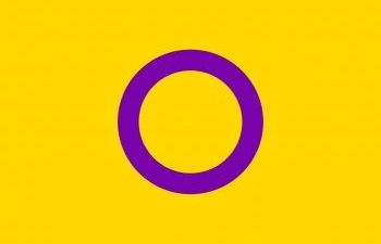 Image of the intersex flag - bright yellow background with a purple circle line in the middle