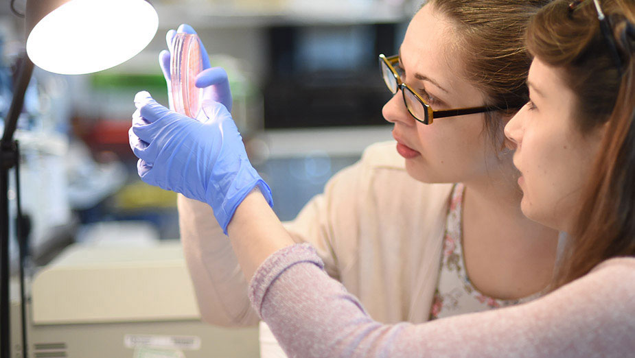 phd biology distance learning