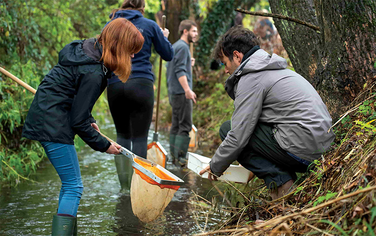 Ecology, Conservation and Environment : University of Sussex