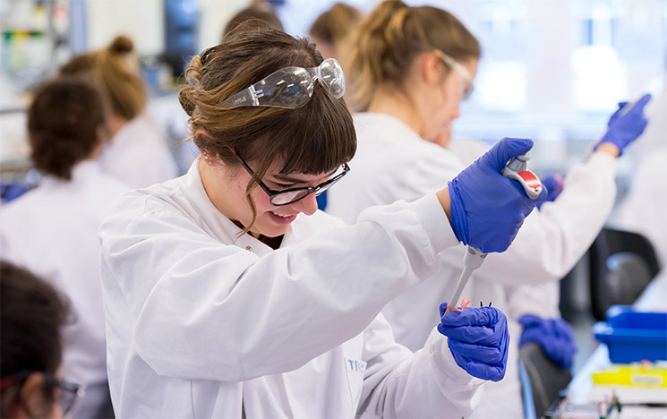 Students in a lab at the University of Sussex