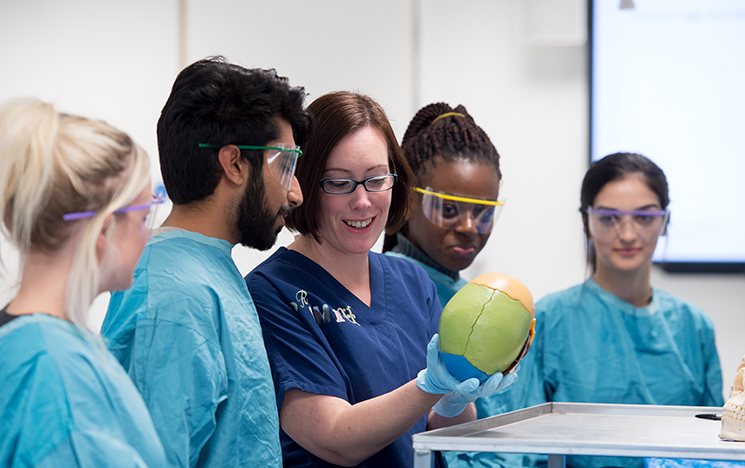 Students in a medicine lab