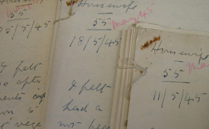 We are 70: Diaries of the Mass Observation Archive