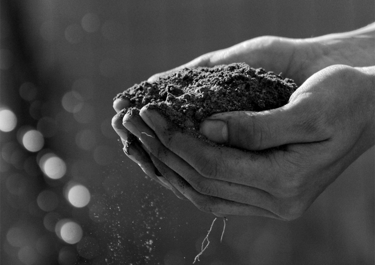 A woman's hands holding soil
