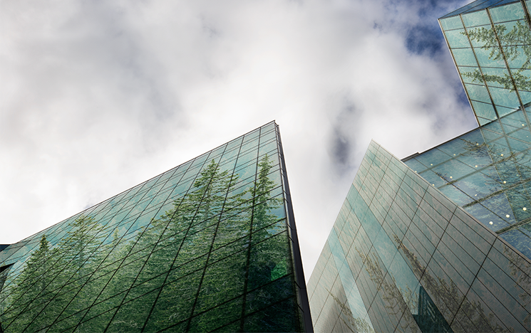 Trees reflected in skyscraper windows