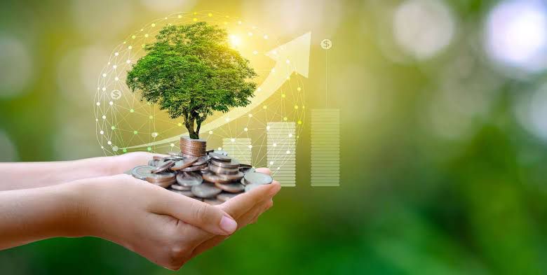 Image of some hands holding money and a tree