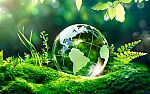 Symbolic world globe in forest