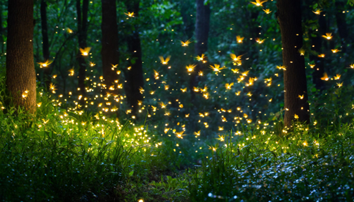 Glowing fireflies in a dark forest scene