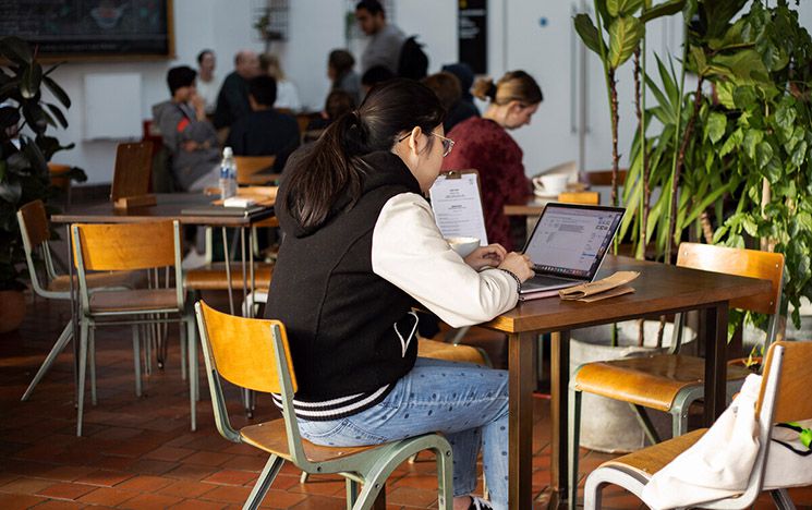 A student studying in a cafe on campus with plants and natural wooden tables and chairs
