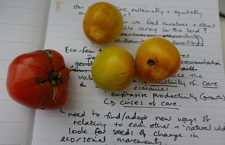 Image of vegetables on top of notes about the Women Back to the Land project