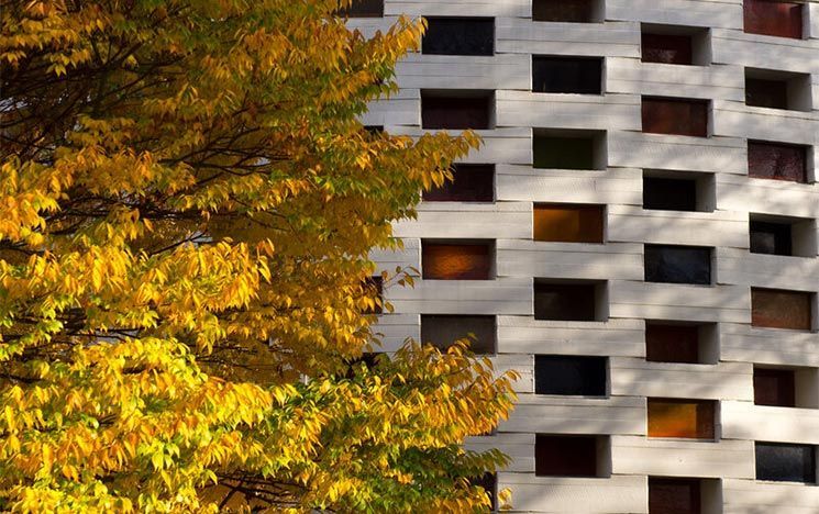 Meeting House windows and Autumnal trees