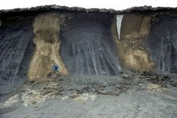 Permafrost structures: sand and ice wedges