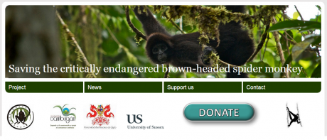 Spider Monkey Conservation Website