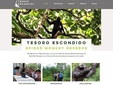 Image of Tesoro Reserve Website