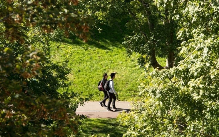 Two students strolling on campus on a sunny day