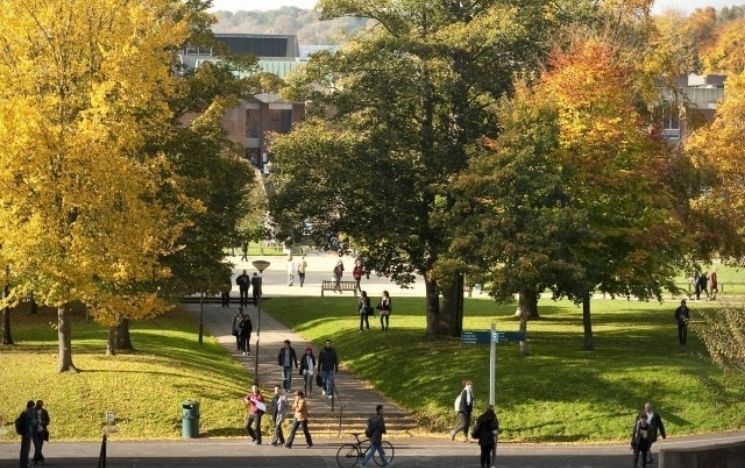 Campus view from Pevensey 1 in Autumn