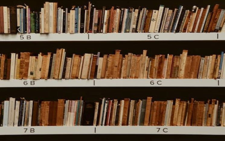 shelves of books