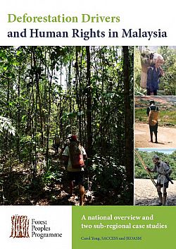 Deforestation drivers and human rights in Malaysia
