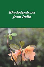 Rhododendron Brochure English