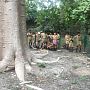 Students are praying by touching the roots of Baobab tree