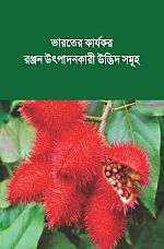 Pigment Brochure Bengali