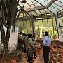 Inside the Greenhouse