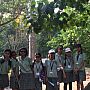 In front of the Baobab Tree