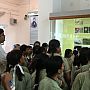 Students are watching panels of Angiosperm