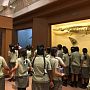 Students are watching Zoology gallery of Indian Museum
