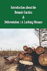 Deforestation Brochure English