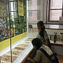 Students are watching herbarium sheets