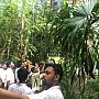 Students are watching double coconut inside the Large Palm House