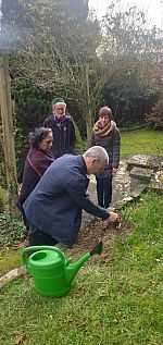 Planting Janaki Ammal rose hybrid