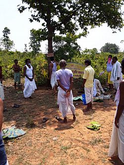 Tree Felling in Purulia