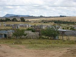 Besotho trees and urban houses 2007