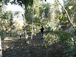 Biologists teach Social Scientists how to mark transect plots