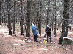 5x5 m plot: Plant samples collected