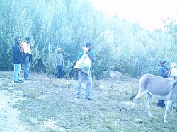 Villagers employed to transport soil samples by donkey
