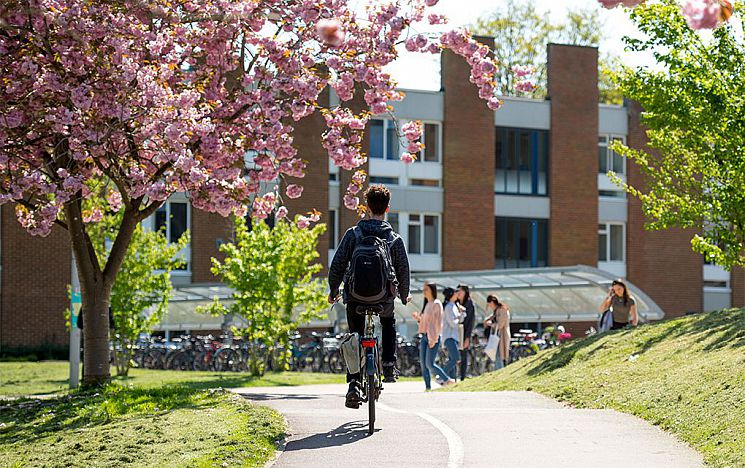 a student cycling under a cherry blossom tree on campus