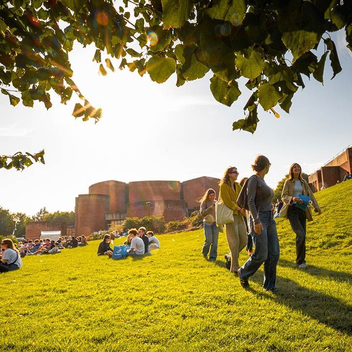 Students walk together across a sunny campus lawn