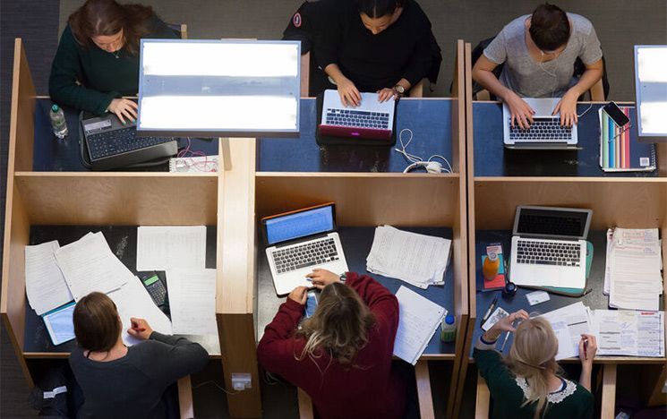 Students working in the library