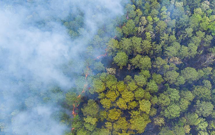 Smoke over forest fire