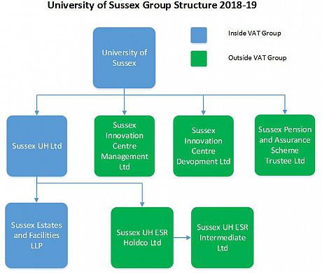 the University group structure and which subsidiaries belong to the VAT group.