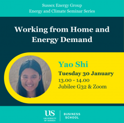 Poster of Yao Shi's Energy & Climate Seminar. Text: Working from home and energy demand. Yao Shi. Tuesday 30 January. 13:00-14:00, Jubilee G32 & Zoom