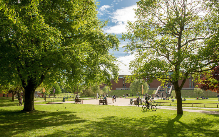 Summertime in Library square. The trees are verdant and luscious. Students are walking and cycling past the square and the library is in the distance.