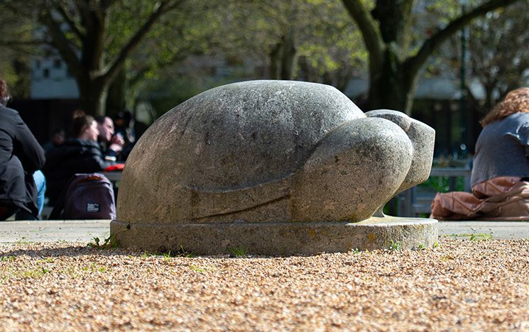 Side view of one of the granite tortoise sculptures that watches over the Arts A pond.