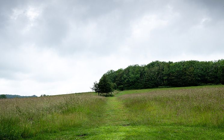 A flattened grass pathway forms part pf the Boundary Walk that encircles Sussex’s Falmer campus.