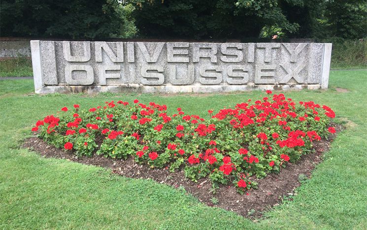The concrete University of Sussex sign at the entrance to campus, with red flowers shaped like a heart in front of it.