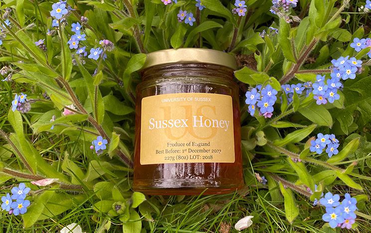 A glass jar of Sussex Honey, with a yellow label and gold lid, rests against some grass and flowers.