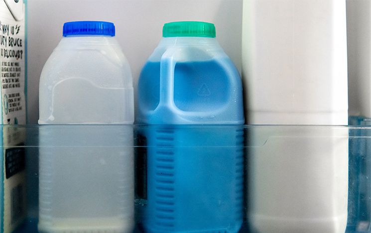 A carton of milk, dyed blue with food colouring, sits in a fridge shelf in amongst more normal-coloured cartons.