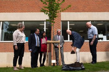 Image of the 60th anniversary tree gifted by Zhejiang Gongshang University, outside Chichester building